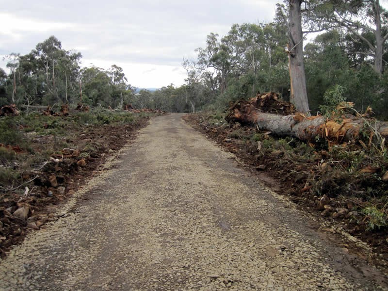 Lot 5, 6, 7, 8 Arthurs Lake Road, Arthurs Lake TAS 7030