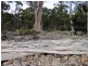 Lot 5, 6, 7, 8 Arthurs Lake Road, Arthurs Lake TAS 7030