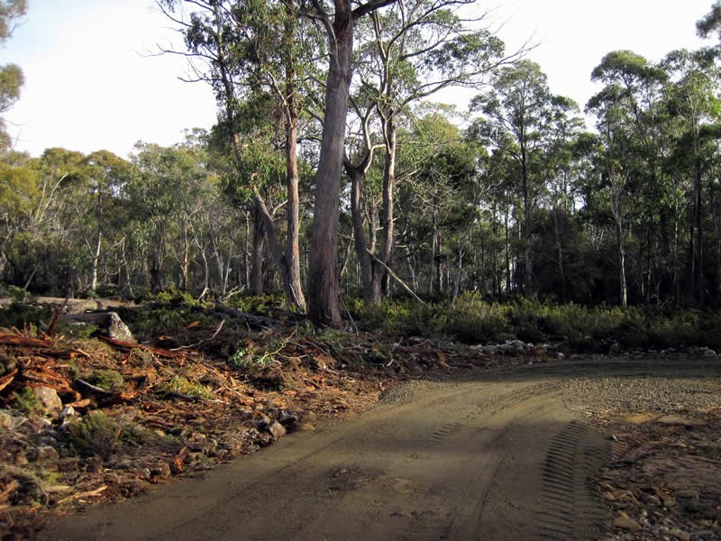 Lot 5, 6, 7, 8 Arthurs Lake Road, Arthurs Lake TAS 7030