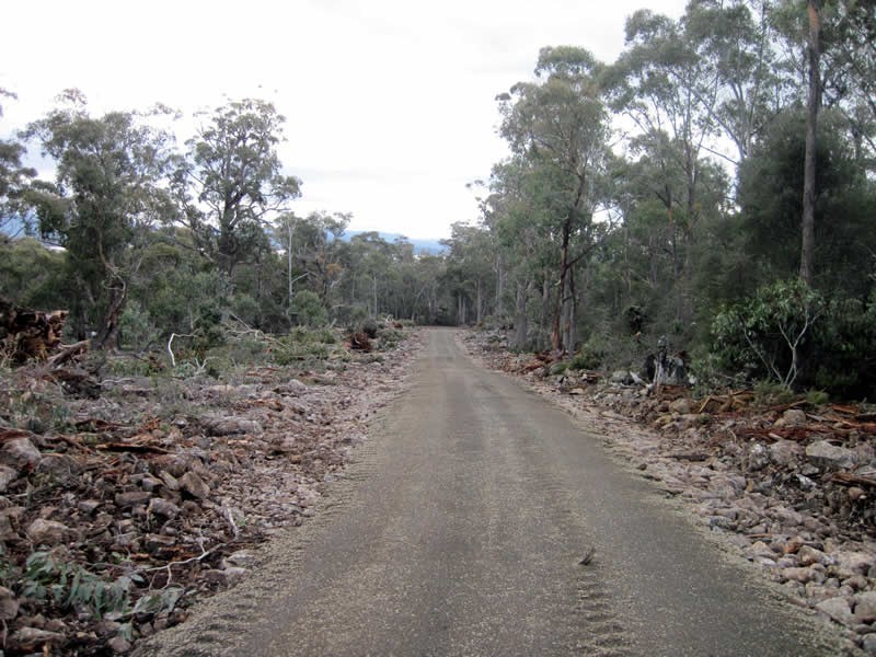 Lot 5, 6, 7, 8 Arthurs Lake Road, Arthurs Lake TAS 7030