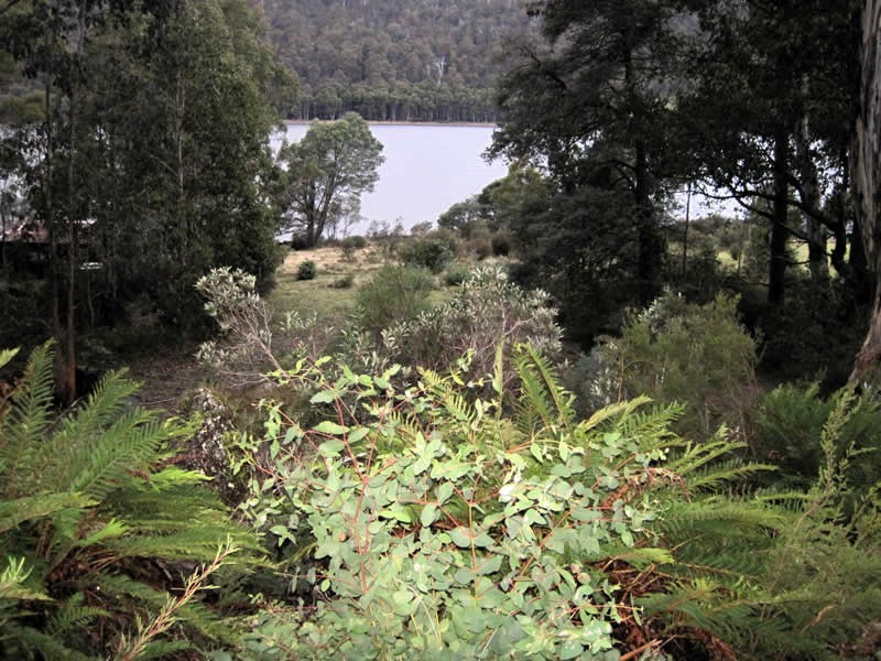 229 Bradys Lake Road, Bradys Lake TAS 7140