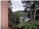 229 Bradys Lake Road, Bradys Lake TAS 7140