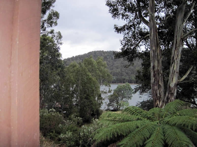 229 Bradys Lake Road, Bradys Lake TAS 7140