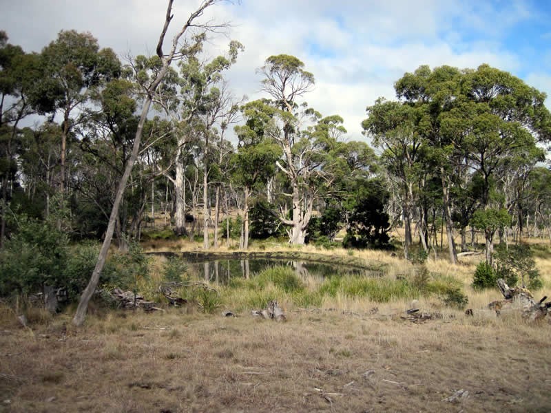 Lot 2 Glovers Road, Bothwell TAS 7030