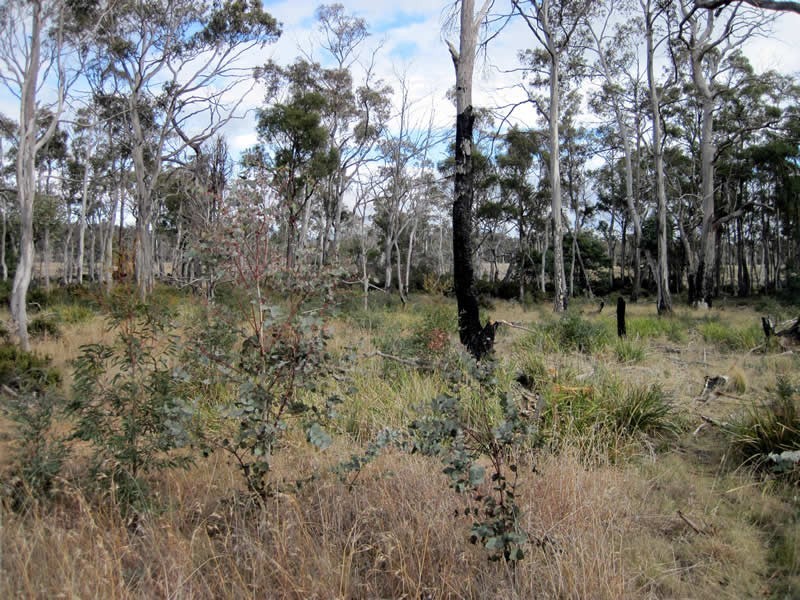 Lot 2 Glovers Road, Bothwell TAS 7030