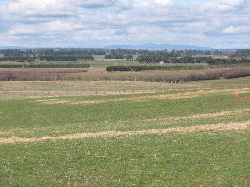 799 Cressy Road, Cressy TAS 7302