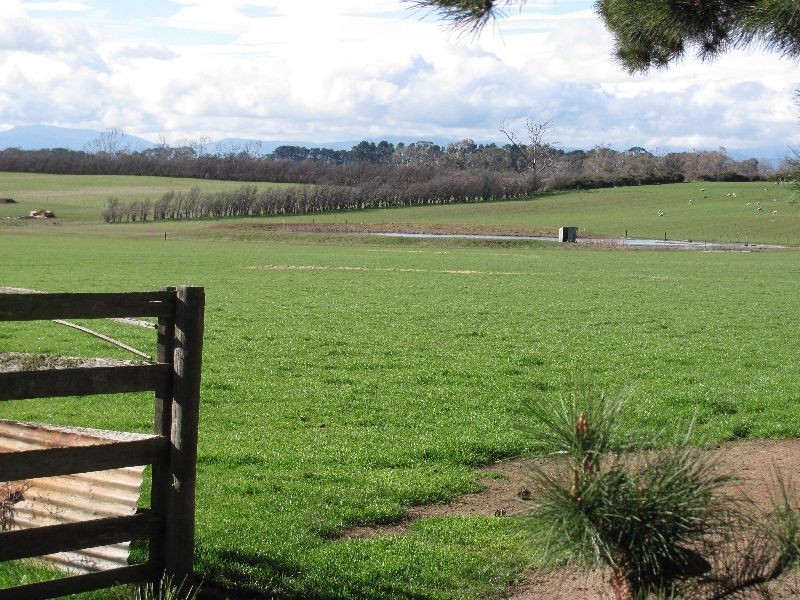 799 Cressy Road, Cressy TAS 7302