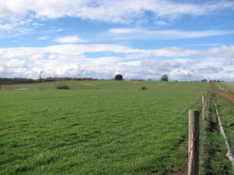 799 Cressy Road, Cressy TAS 7302