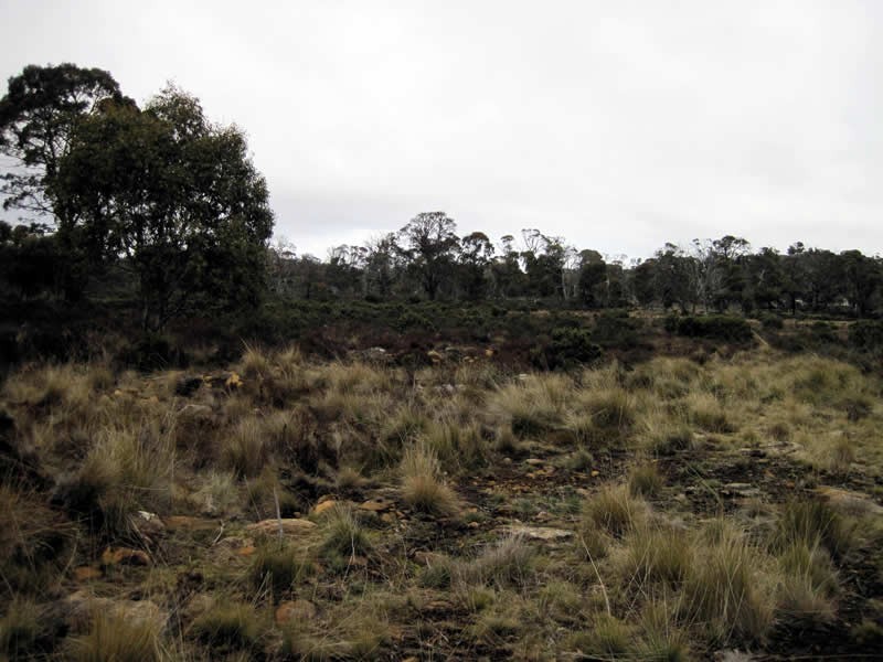 8 Anglers Crescent, Miena TAS 7030