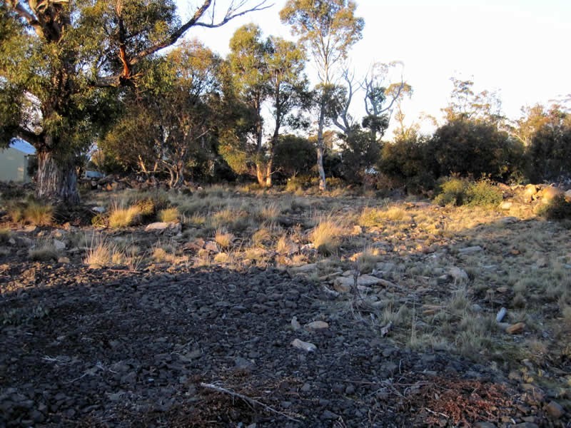 9 Lochiel Drive, Miena TAS 7030