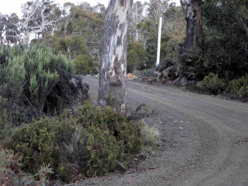 9 Lochiel Drive, Miena TAS 7030