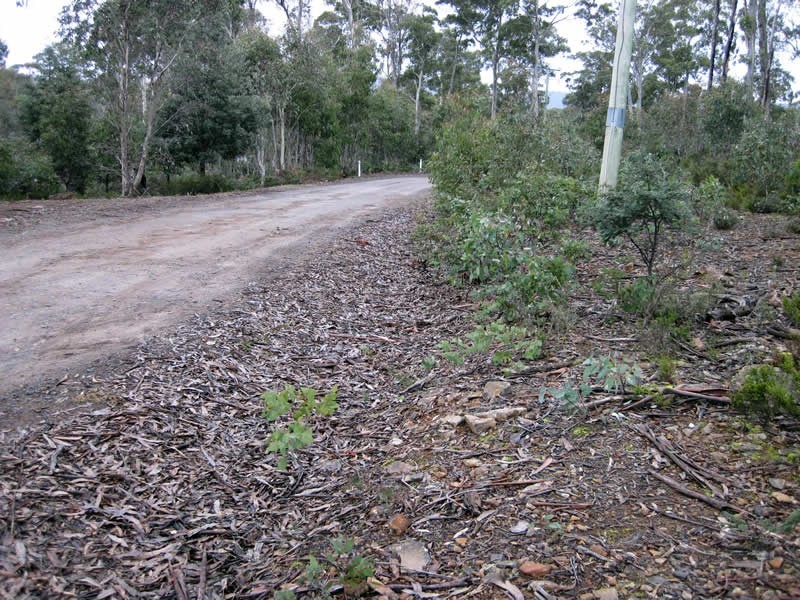 Lot 51 Wigrams Way, London Lakes TAS 7140