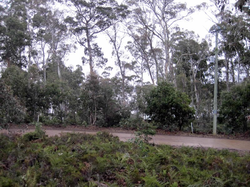 Lot 51 Wigrams Way, London Lakes TAS 7140