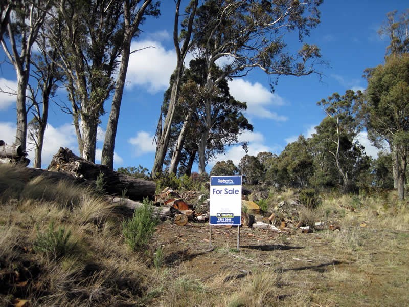 42 Bronte Estate Road, Bronte Park TAS 7140