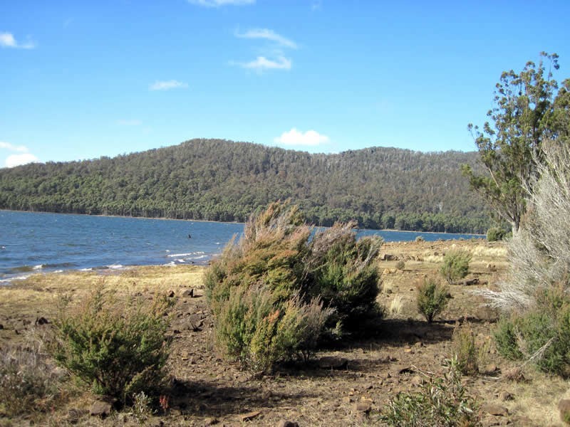 199 Bradys Lake Road, Bradys Lake TAS 7140
