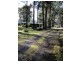 199 Bradys Lake Road, Bradys Lake TAS 7140