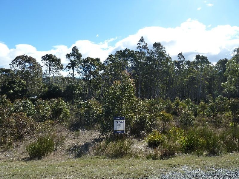 47 Lee Street, Rossarden TAS 7213