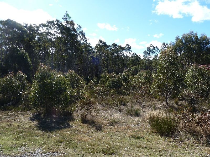 47 Lee Street, Rossarden TAS 7213