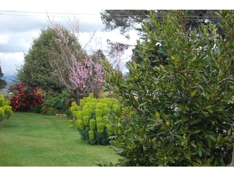 95 Meander Valley Highway, Westbury TAS 7303