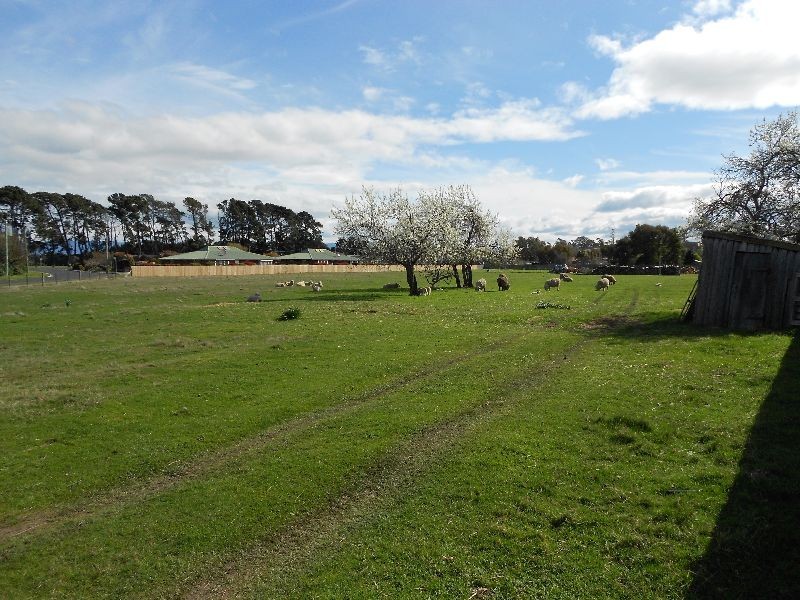 9 Norfolk Street, Perth TAS 7300