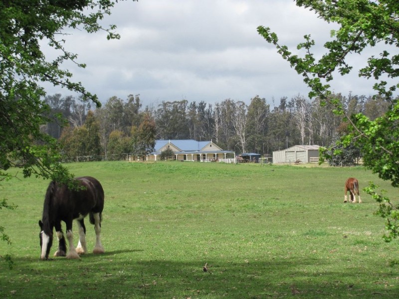 1408 Birralee Road, Birralee TAS 7303