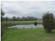1408 Birralee Road, Birralee TAS 7303