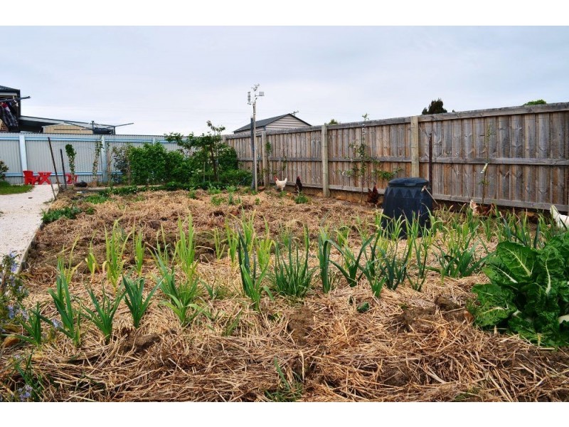 53 Secombe Street, Perth TAS 7300