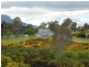 17 Walter Street, Rossarden TAS 7213