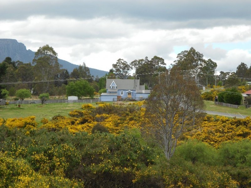 17 Walter Street, Rossarden TAS 7213
