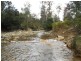 17 Walter Street, Rossarden TAS 7213