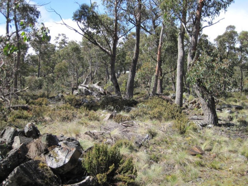 20 Johnsons Road, Miena TAS 7030