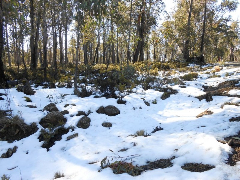 20 Johnsons Road, Miena TAS 7030