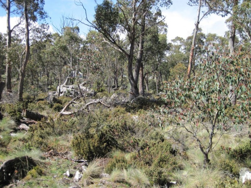 20 Johnsons Road, Miena TAS 7030