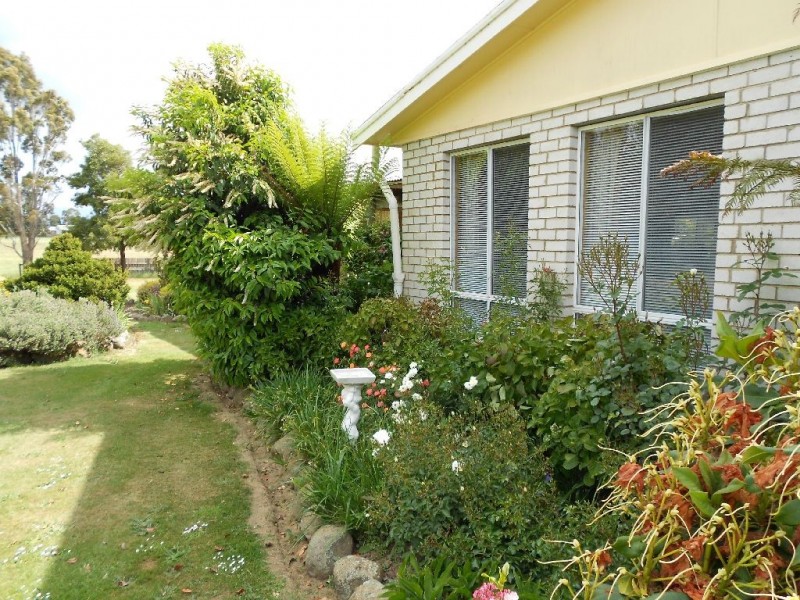 5 Macquarie Street, Cressy TAS 7302