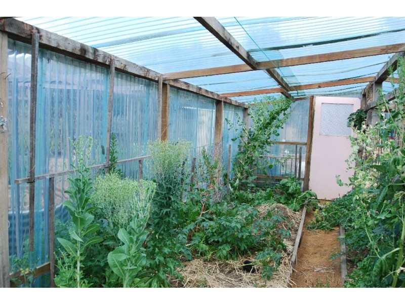 Lot 1 Robert Street, Fingal TAS 7214