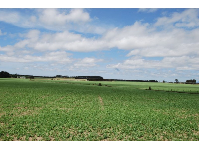 726 Bishopsbourne Road, Bishopsbourne TAS 7301