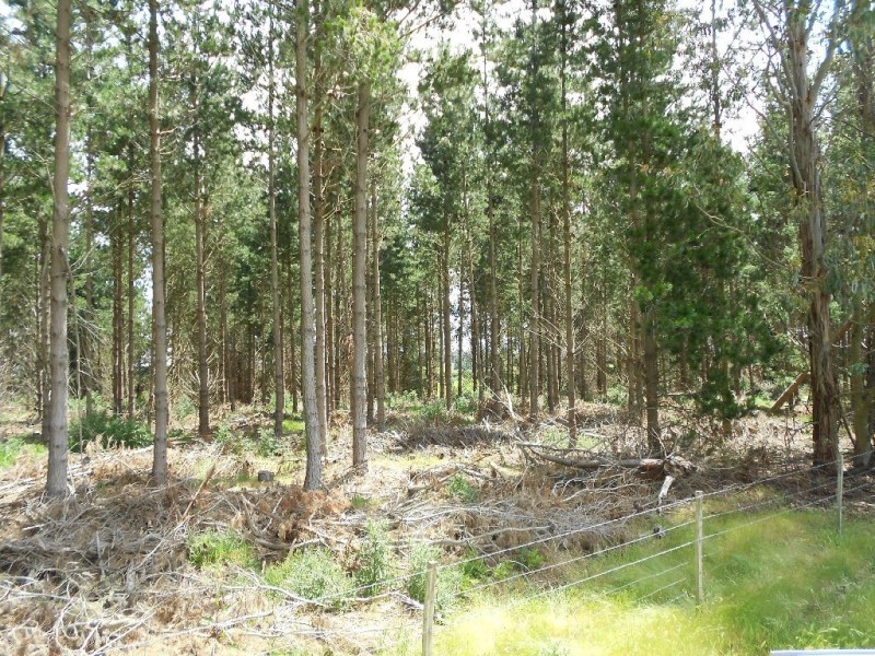 726 Bishopsbourne Road, Bishopsbourne TAS 7301