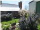 30 Pedder Street, Campbell Town TAS 7210