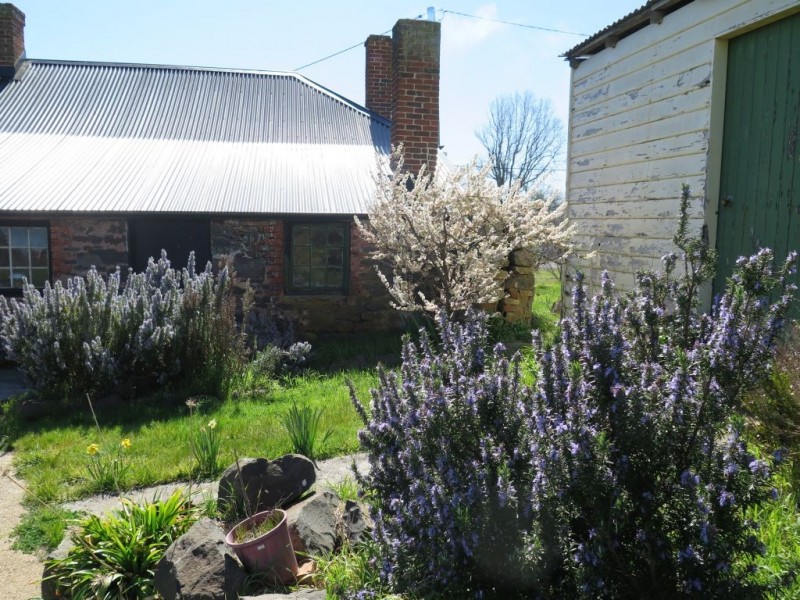 30 Pedder Street, Campbell Town TAS 7210