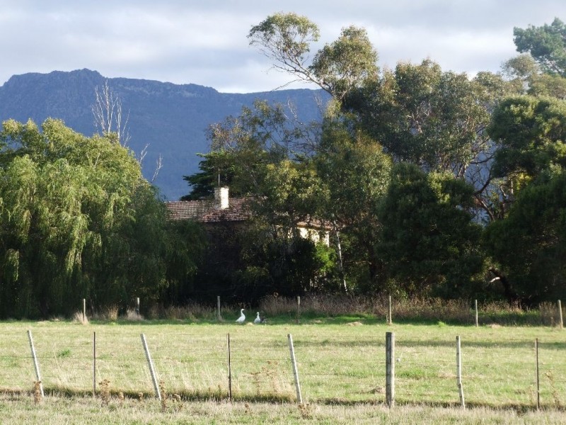 4693 Poatina Road, Cressy TAS 7302