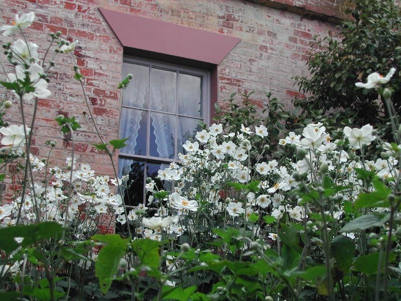 114 Marlborough Street, Longford TAS 7301