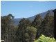 238 Myrtle Creek Road, Liffey TAS 7301