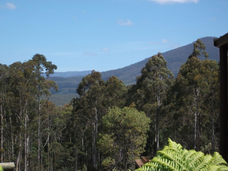 238 Myrtle Creek Road, Liffey TAS 7301