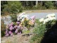 238 Myrtle Creek Road, Liffey TAS 7301