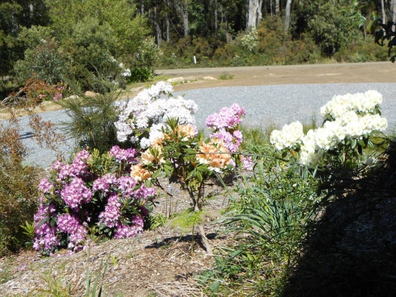 238 Myrtle Creek Road, Liffey TAS 7301