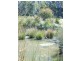 238 Myrtle Creek Road, Liffey TAS 7301