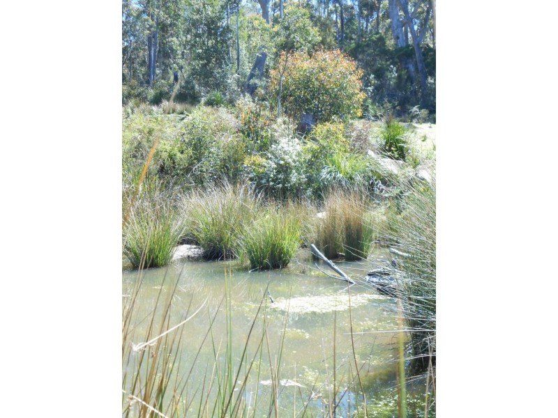 238 Myrtle Creek Road, Liffey TAS 7301