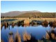 1136 Liffey Road, Liffey TAS 7301