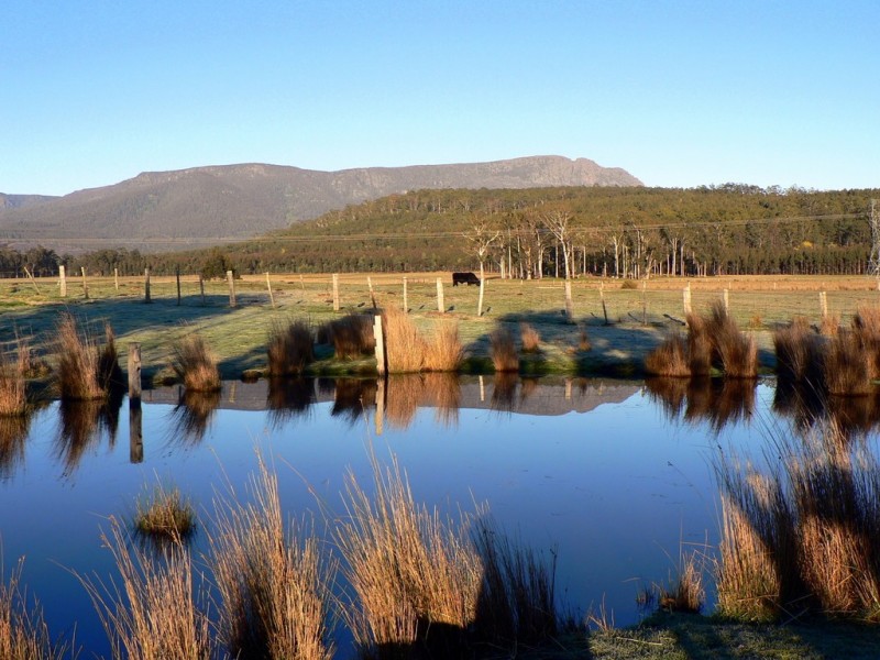 1136 Liffey Road, Liffey TAS 7301