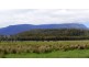 1136 Liffey Road, Liffey TAS 7301